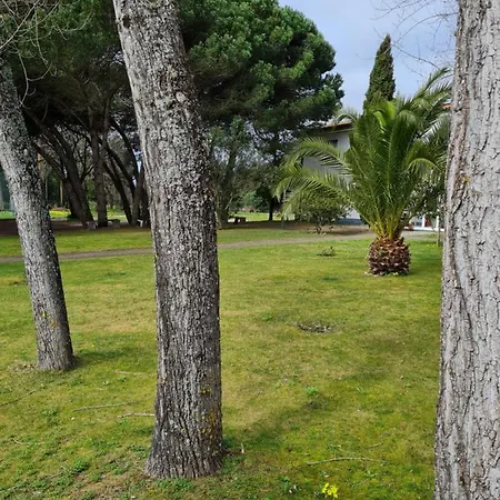 Quinta Rolas - Alojamento Local Alojamento de Turismo Rural *