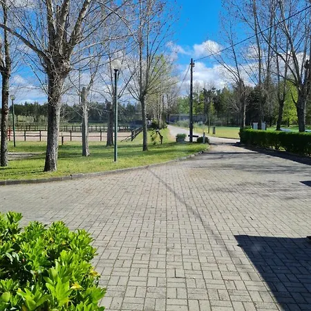 Alojamento de Turismo Rural Quinta Rolas - Alojamento Local *