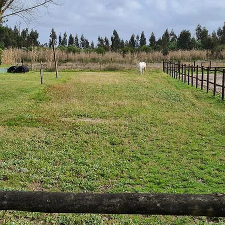 Quinta Rolas - Alojamento Local Alojamento de Turismo Rural